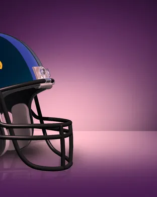 Baltimore Ravens Houston