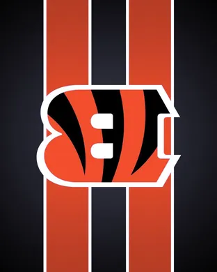 Cincinnati Bengals Houston
